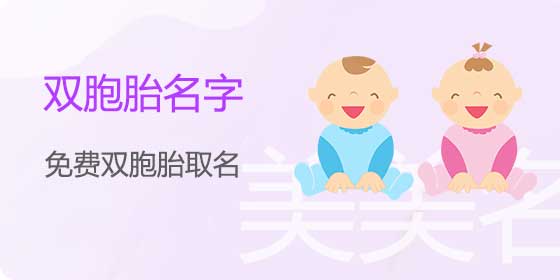 双胞胎名字