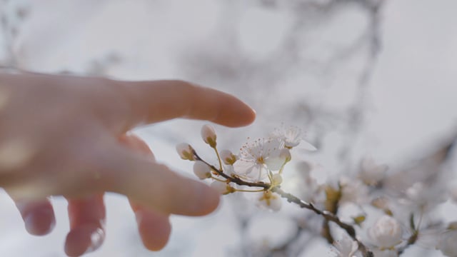 1094170450-acf7af992b8876b89daead4777bdc1703804a6d5d7cca5ecfa1d5ebb47f552f2-d_640x360 1094170450-acf7af992b8876b89daead4777bdc1703804a6d5d7cca5ecfa1d5ebb47f552f2-d_640x360