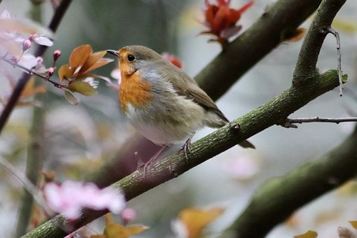 五行木木组合的女孩名字 女孩朗朗上口的名字