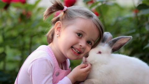 女孩名字大全2023最新版的属兔，属兔宝宝取名女孩