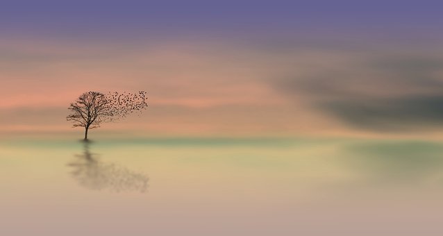 tree-3358468__340
