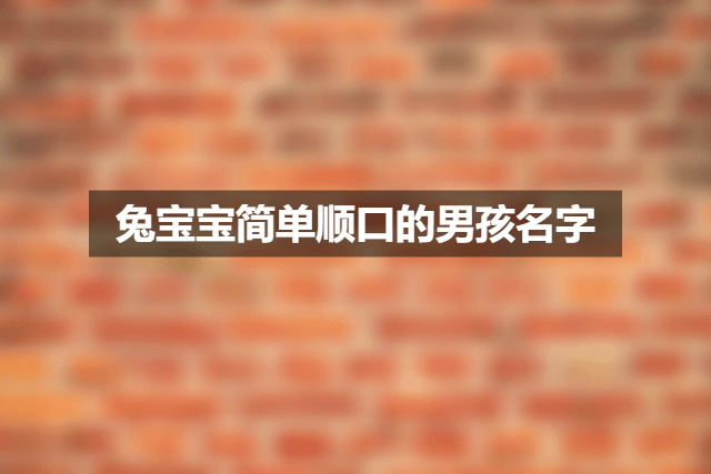 2023兔宝宝取名字，简单顺口的男孩名字