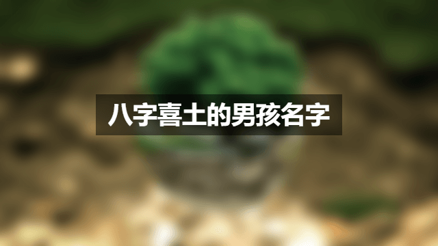 八字喜土的男孩名字