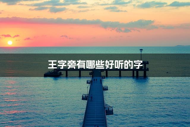 王字旁有哪些好听的字，王字旁的字女宝宝起名字