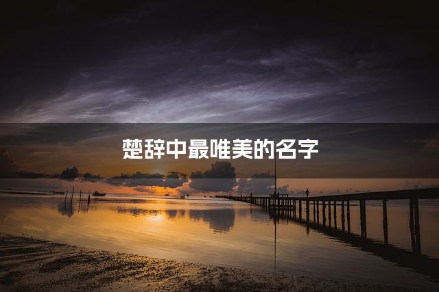 楚辞中最唯美的名字