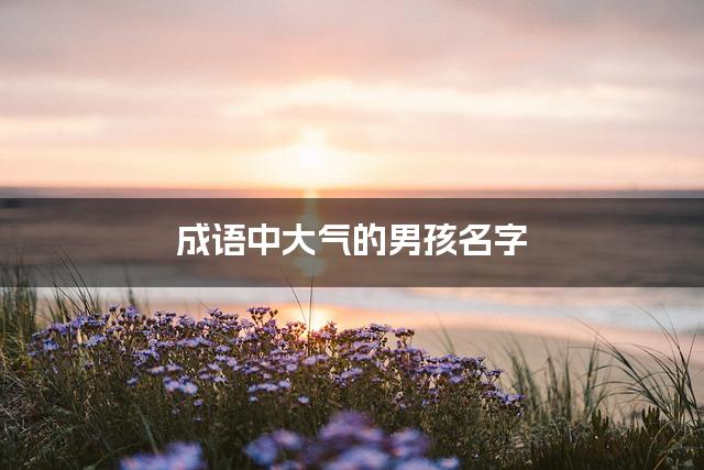 成语中大气的男孩名字