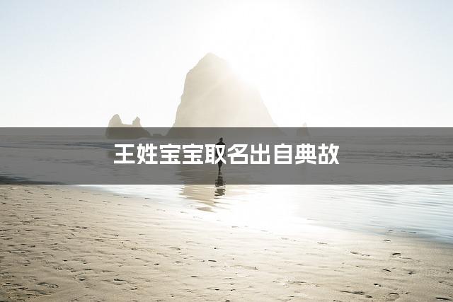 王姓宝宝取名出自典故
