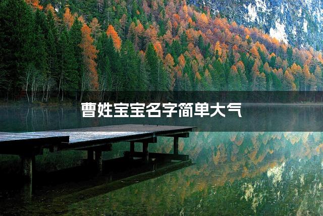 曹姓宝宝名字简单大气 曹姓宝宝名字简单大气