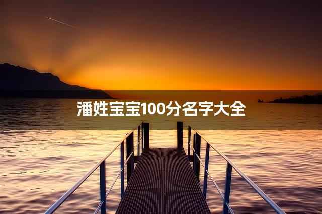 潘姓宝宝100分名字大全