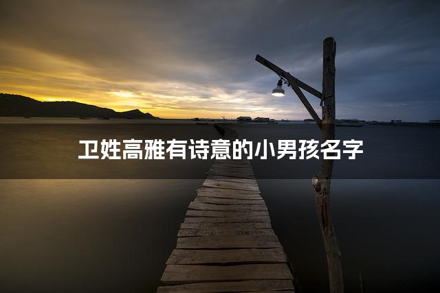 卫姓高雅有诗意的小男孩名字