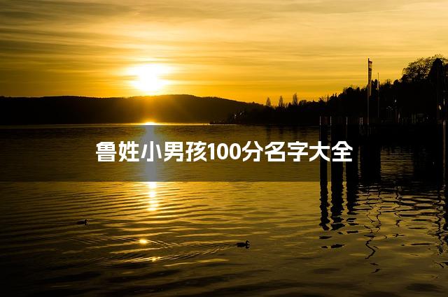 鲁姓小男孩100分名字大全