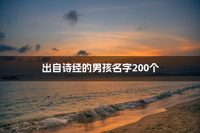 出自诗经的男孩名字200个