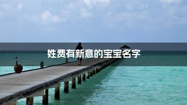 姓费有新意的宝宝名字