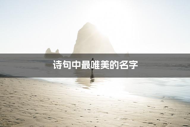 诗句中最唯美的名字