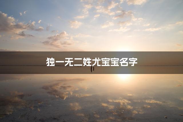 独一无二姓尤宝宝名字