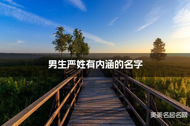 男生严姓有内涵的名字