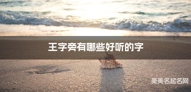 王字旁有哪些好听的字，王字旁的字宝宝起名字