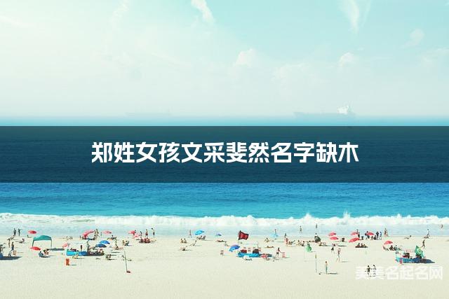 郑姓女孩文采斐然名字缺木