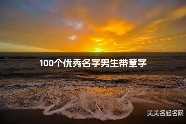 100个优秀名字男生带章字