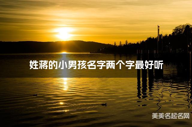 姓蒋的小男孩名字两个字最好听