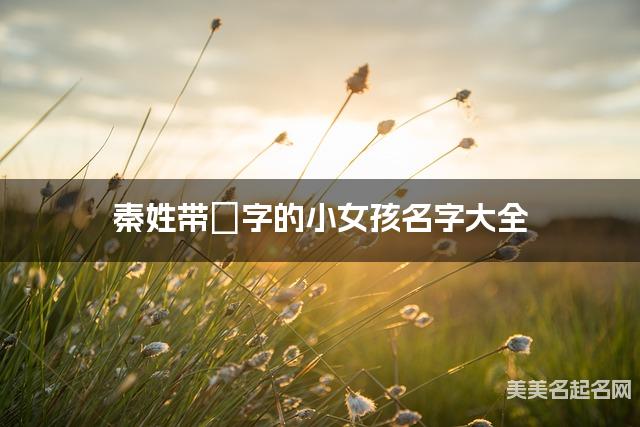 秦姓带璟字的小女孩名字大全