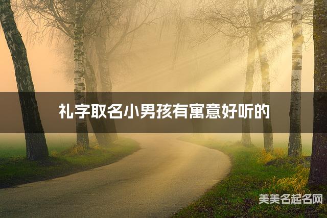 礼字取名小男孩有寓意好听的