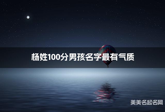 杨姓100分男孩名字最有气质
