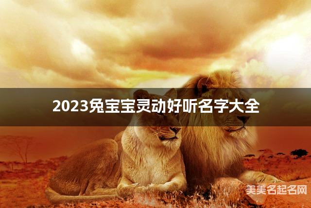 2023兔宝宝灵动好听名字大全