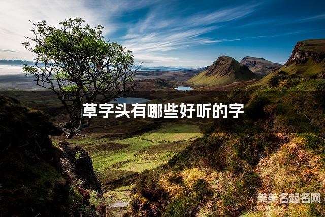 草字头有哪些好听的字，草字头的字女宝宝起名字