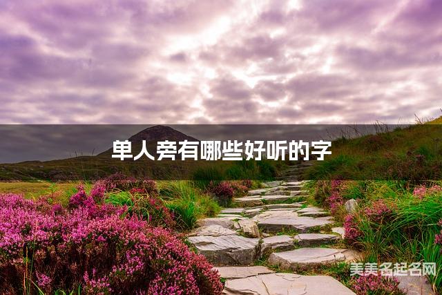 单人旁有哪些好听的字，单人旁的字女生起名字