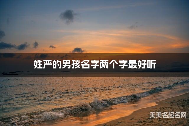 姓严的男孩名字两个字最好听