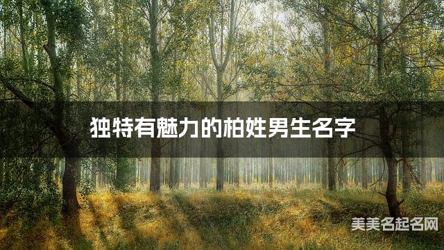 独特有魅力的柏姓男生名字