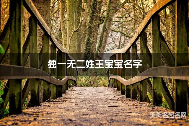 独一无二姓王宝宝名字