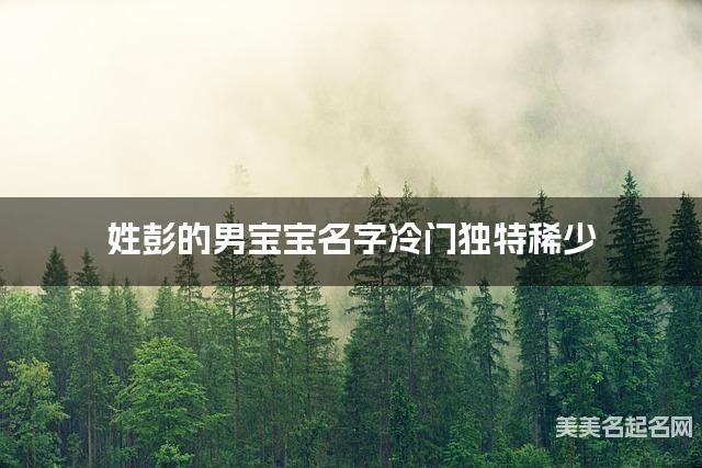 姓彭的男宝宝名字冷门独特稀少