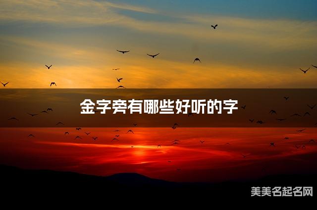 金字旁有哪些好听的字，金字旁的字女宝宝起名字