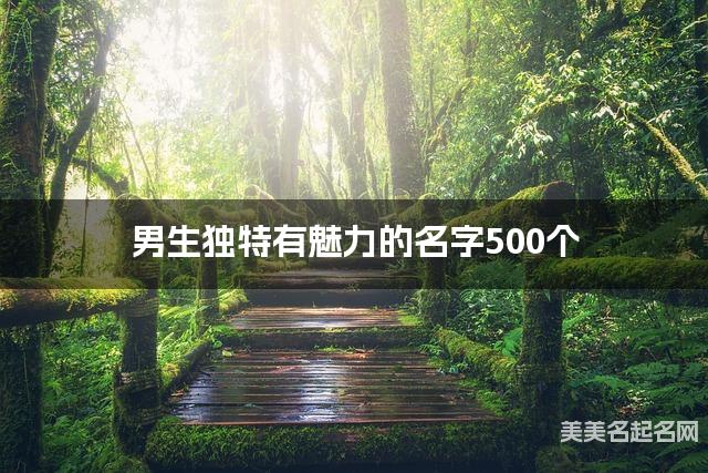 男生独特有魅力的名字500个