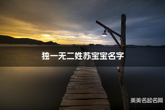 独一无二姓苏宝宝名字