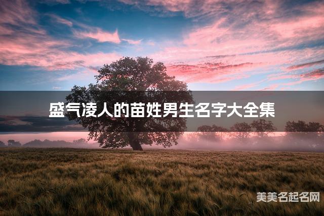 盛气凌人的苗姓男生名字大全集