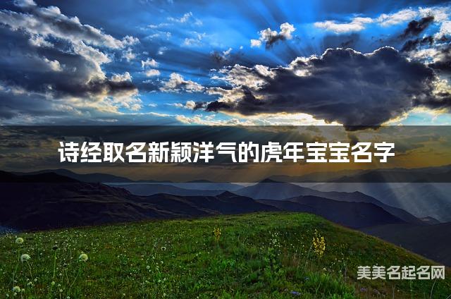 诗经取名新颖洋气的虎年宝宝名字