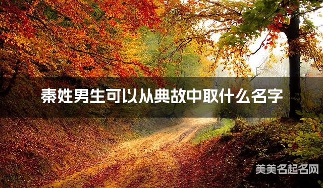 秦姓男生可以从典故中取什么名字