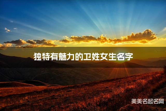 独特有魅力的卫姓女生名字