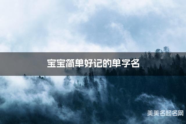 宝宝简单好记的单字名