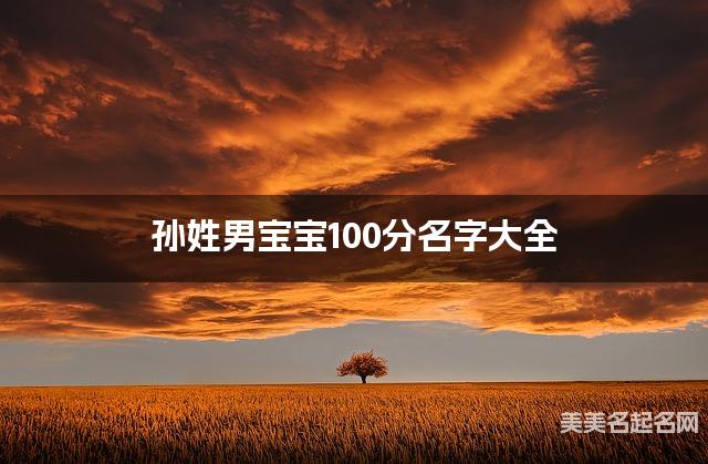 孙姓男宝宝100分名字大全