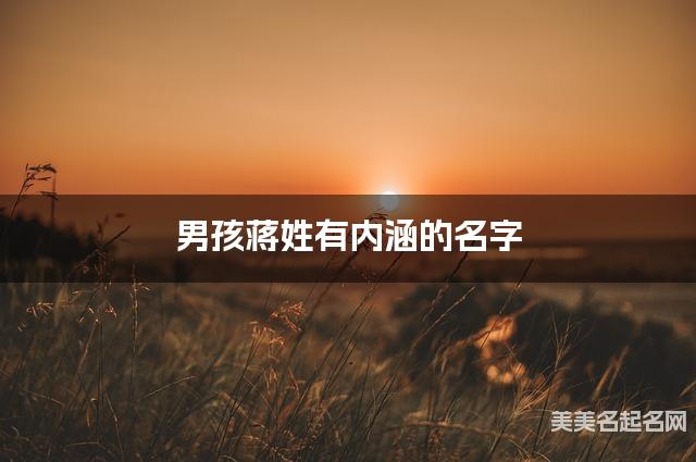 男孩蒋姓有内涵的名字 男孩蒋姓有内涵的名字