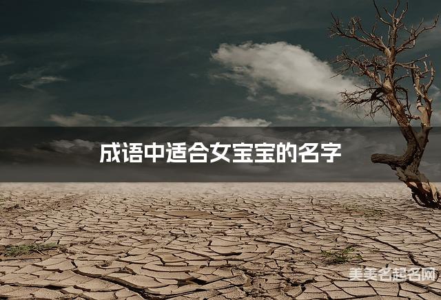 成语中适合女宝宝的名字