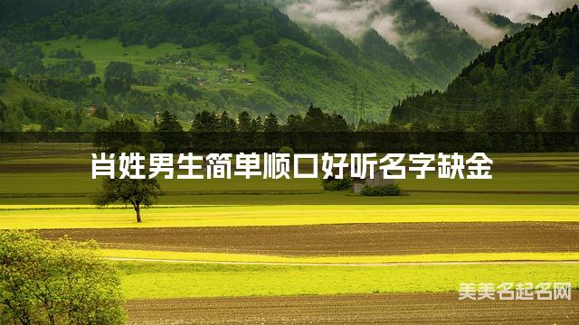 肖姓男生简单顺口好听名字缺金