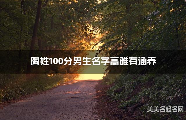 陶姓100分男生名字高雅有涵养