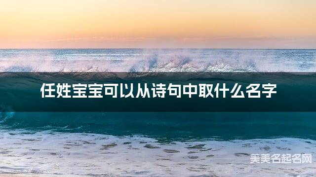 任姓宝宝可以从诗句中取什么名字