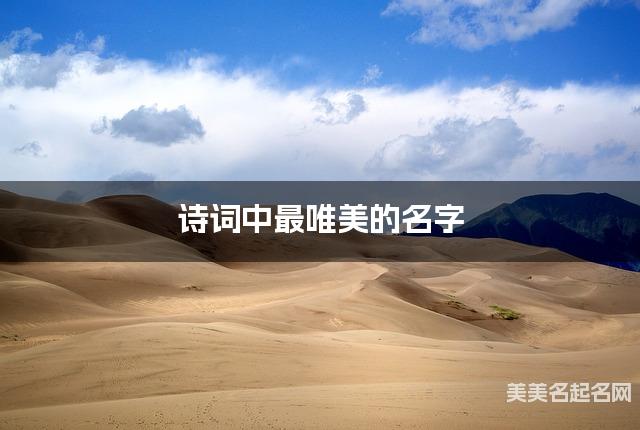 诗词中最唯美的名字