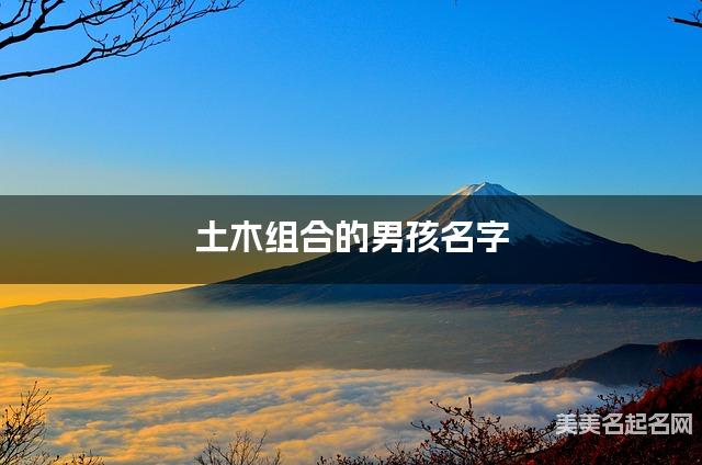 土木组合的男孩名字 男孩格局大气的名字